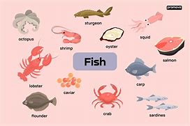 Image result for Different Variety of Fish