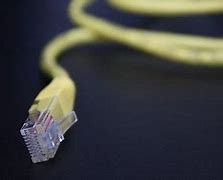 Image result for Cat6 Plenum