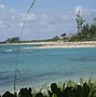 Image result for Green Turtle Cay Bahamas