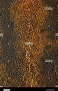 Image result for Bronze Rust Texture