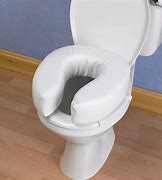 Image result for Toilet Seat Tabs