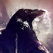 Image result for Crow Meme PFP