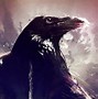 Image result for Crow Meme PFP