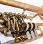 Image result for Antique Trumpet