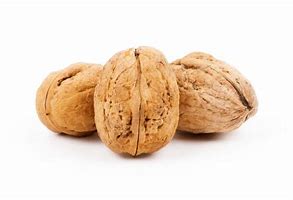 Image result for Fresh Nuts