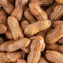 Image result for Boiled Peanuts