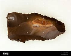 Image result for Lower Paleolithic