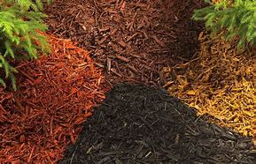 Image result for Mulch Pics