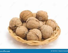 Image result for The Nut Is Pleased