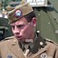 Image result for 101st Airborne Dress/Uniform