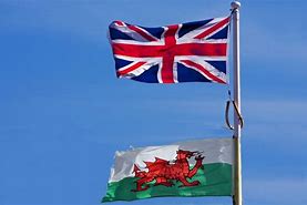 Image result for Wales Flag without Dragon