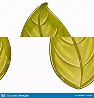 Image result for Realistic Leaf Clip Art