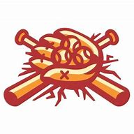 Image result for Boise Hawks Logo