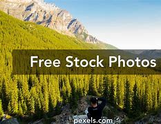 Image result for Mountain Forest Scenery