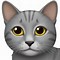 Image result for Tabby Gray Cat Emoji