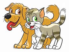 Image result for Smiling Cat and Dog Pictures