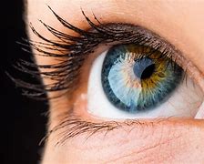 Image result for My Eye in Macro