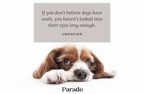 Image result for Dog Loyal Sayings