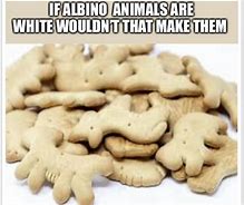 Image result for Albino Meme