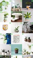 Image result for Cool Plant Pots