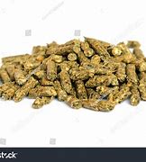 Image result for Rabbit Poop Pellets