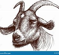 Image result for Cartoon Goat Head Drawing