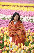 Image result for Shishedar Phulkari