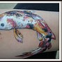 Image result for Biological Illustration of a Koi Carp