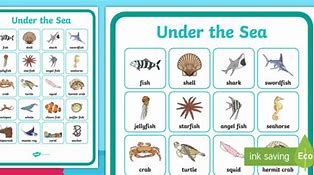 Image result for Sea Vocabulary