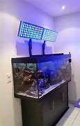 Image result for LED Aquarium Lighting