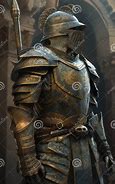 Image result for Cataphract