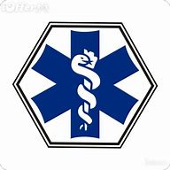 Image result for Paramedic Symbol