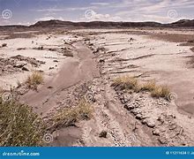 Image result for Dried Desert