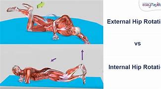 Image result for Lateral Knee Internal vs External Rotation