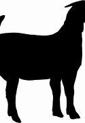 Image result for Boer Goat Head Clip Art