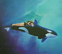 Image result for Orca Art