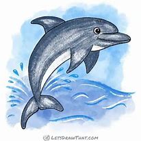 Image result for Azic Dolphin Art