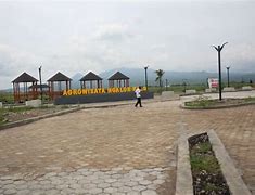 Image result for Agrowisata Ngalor Kalo Manggarai Barat