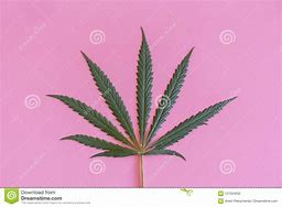 Image result for Pink Marijuana Leaf Design