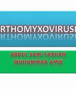 Image result for Orthomyxovirus