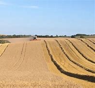 Image result for Arable Farming