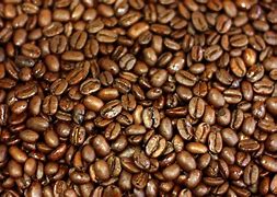 Image result for Kaffee Beans Portrait