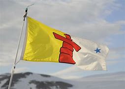 Image result for Inuit Flag