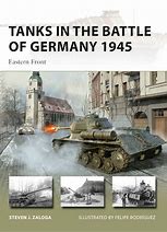 Image result for 1500s German Battle