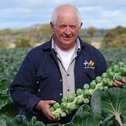 Image result for Billy Logan Sprouts