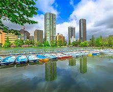 Image result for Ueno Park in Summer