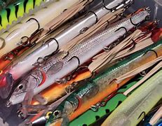 Image result for Cluttered Fishing Tackle Shup