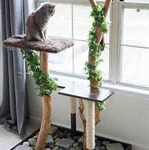 Image result for DIY Cat Furniture