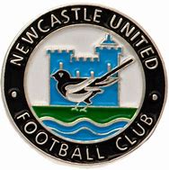 Image result for Newcastle Badge