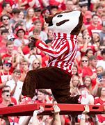 Image result for Badgers in Indiana